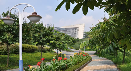 61_20190425170448_jsm2x.png blob.png