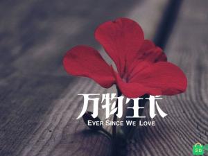 精辟的爱情名言名句大全 精辟的爱情名言名句大全