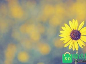 关于心理健康的名言名句 关于心理健康的名言名句