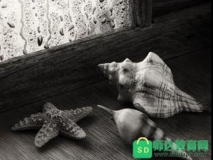 经典人生格言座右铭100句 经典人生格言座右铭100句