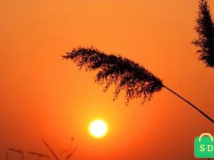 鼓励人读书的名言名句 鼓励人读书的名言名句