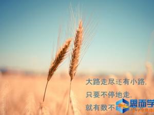 ����ϵ�����鼦��С���¡����ܡ�