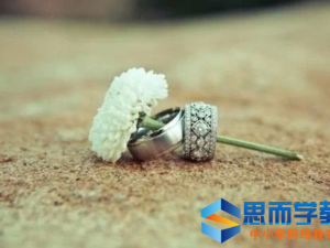 ��־����С���¡�����ƪ��