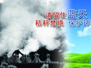 乡镇宣传秸秆禁烧倡议书模板【精华篇】 乡镇宣传秸秆禁烧倡议书模板【精华篇】