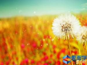 富有人生哲理的长句子【优秀】 富有人生哲理的长句子【优秀】