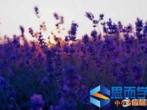 精选感悟人生哲理句子伤感 精选感悟人生哲理句子伤感