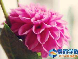 关于有人生哲理的句子最新篇 关于有人生哲理的句子最新篇