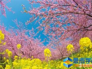 人生情感哲理好句子 人生情感哲理好句子