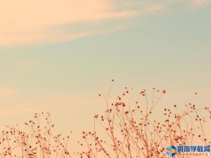 关于人生的哲理性句子【荐读】 关于人生的哲理性句子【荐读】