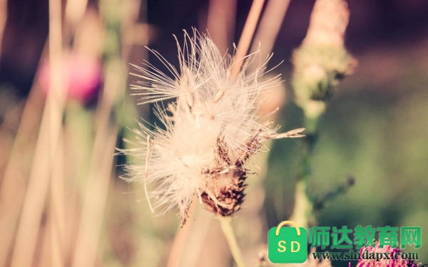 qq心情不好的句子