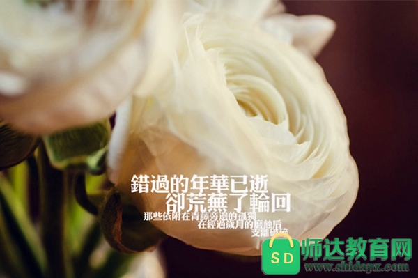 心情不好的句子带图片图库