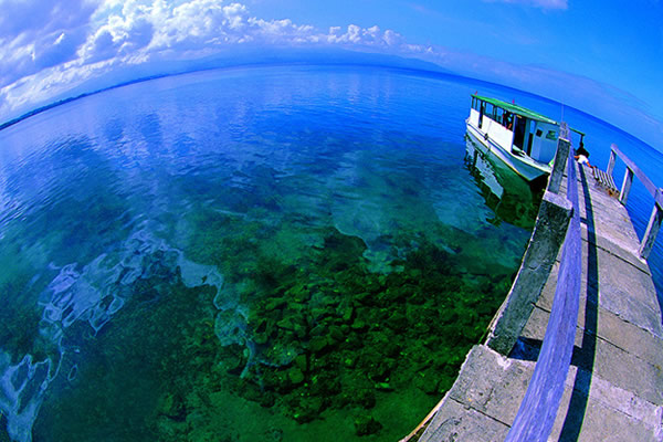 2016�걾�ƺ�����רҵ��ѧ����