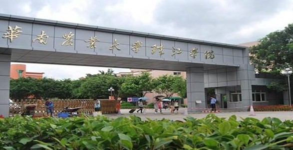 58_20180807080849_dp0la.png blob.png