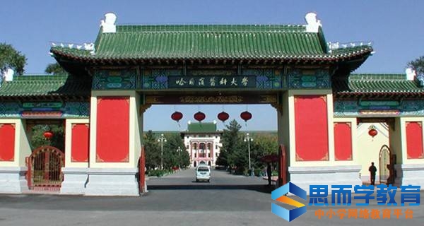 ������ҽ�ƴ�ѧУ��