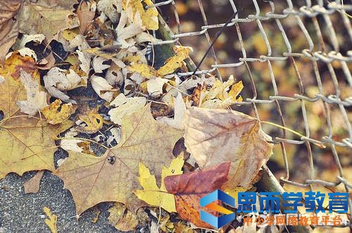 qq����˵˵�˸о��Ӵ�ȫ